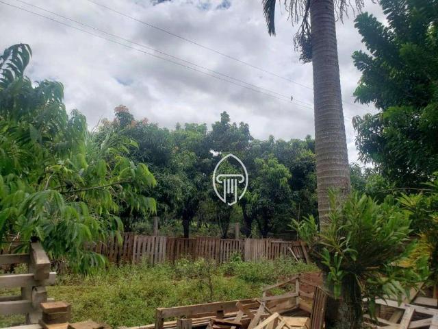Sítio e chácara venda em Região Geográfica Imediata de Londrina, Ibiporã