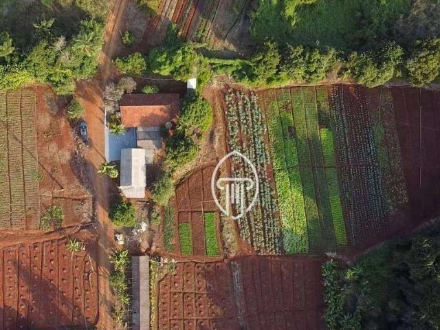 Sítio e chácara venda em Região Geográfica Imediata de Londrina, Ibiporã