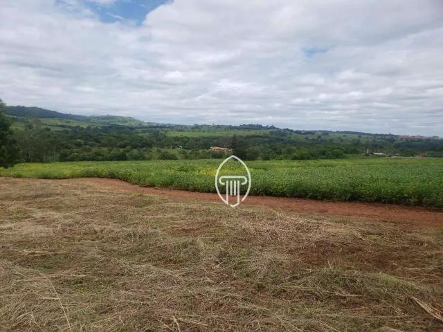 Sítio e chácara venda em Região Geográfica Imediata de Londrina, Ibiporã