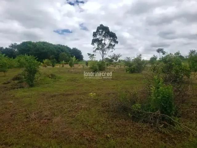 Sítio e chácara venda em Região Geográfica Imediata de Londrina, Ibiporã