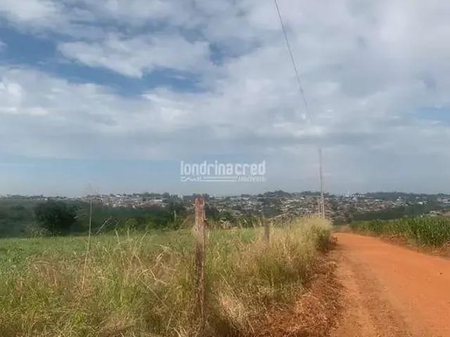 Sítio e chácara venda em Região Geográfica Imediata de Londrina, Ibiporã