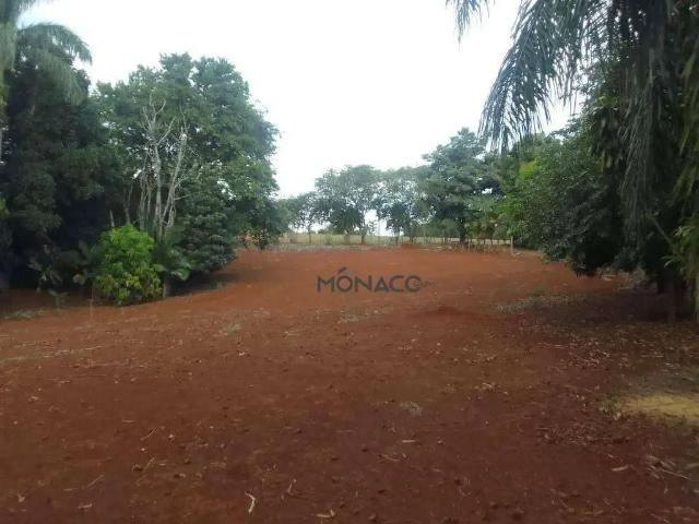 Sítio e chácara venda em Região Geográfica Imediata de Londrina, Ibiporã