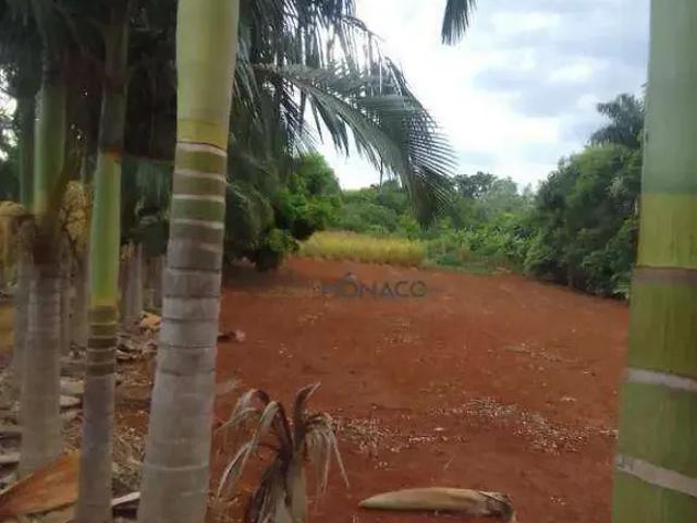 Sítio e chácara venda em Região Geográfica Imediata de Londrina, Ibiporã