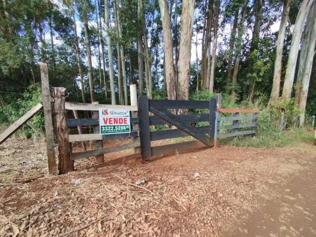 Sítio e chácara venda em Região Geográfica Imediata de Londrina, Ibiporã
