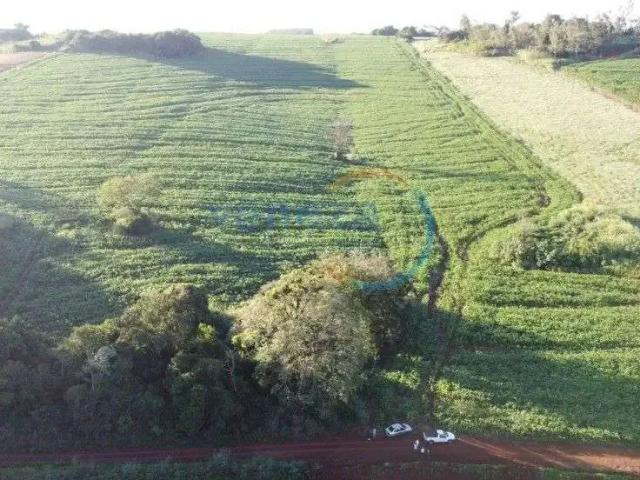 Sítio e chácara venda em Região Geográfica Imediata de Londrina, Ibiporã