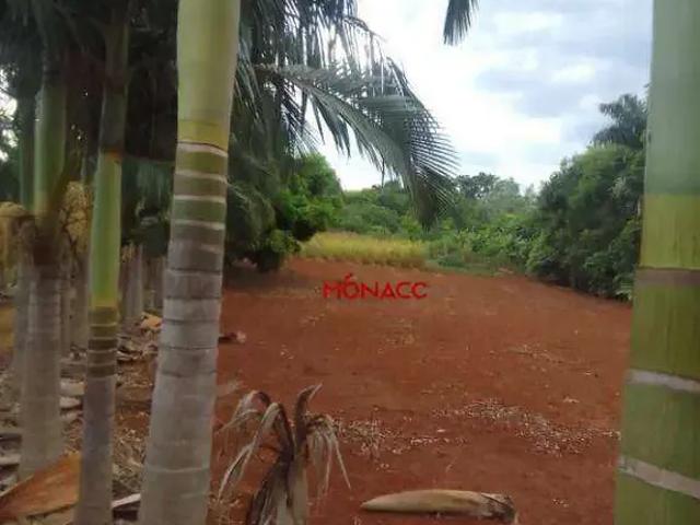 Sítio e chácara venda em Região Geográfica Imediata de Londrina, Ibiporã