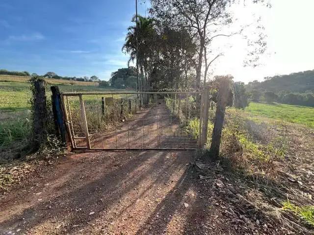 Sítio e chácara venda em Centro, Ibiporã