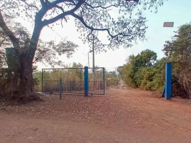 Sítio e chácara venda em Ibiporã, Paraná