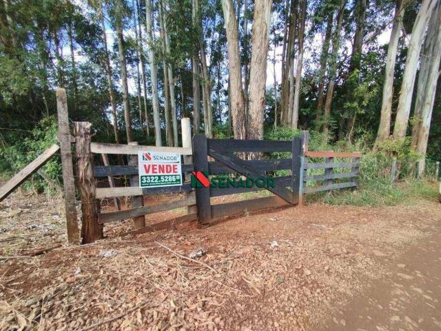 Sítio e chácara venda em Vila Dutra, Ibiporã
