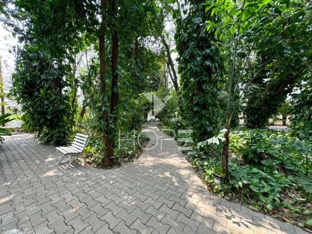 Sítio e chácara venda em Kaluana, Ibiporã