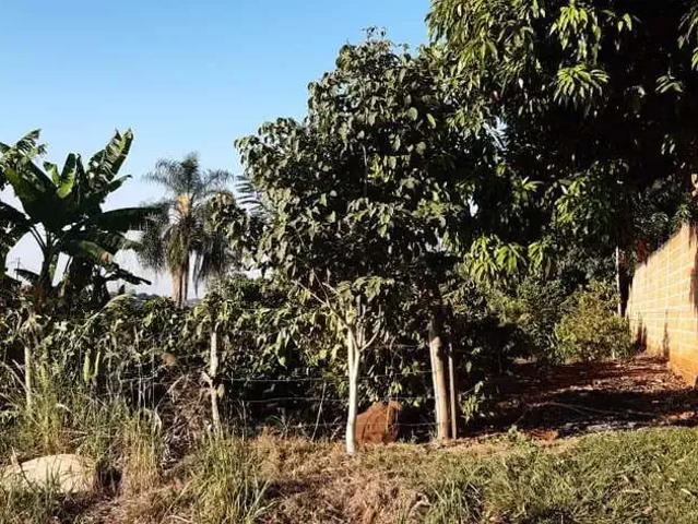 Sítio e chácara venda em Região Geográfica Imediata de Londrina, Ibiporã