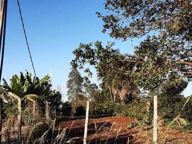 Sítio e chácara venda em Região Geográfica Imediata de Londrina, Ibiporã