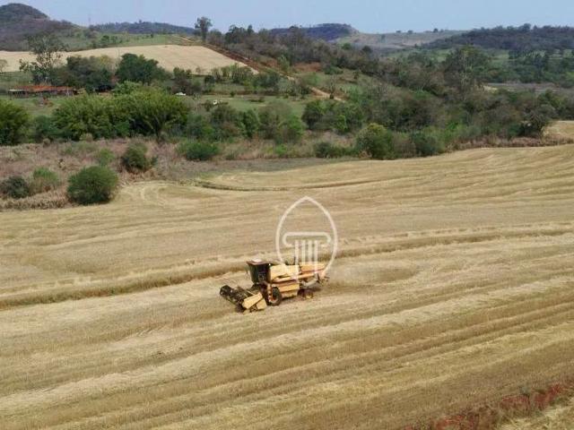 Sítio e chácara venda em Castelo Branco, Ibiporã
