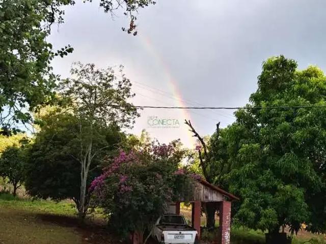 Sítio e chácara venda em Região Geográfica Imediata de Londrina, Ibiporã