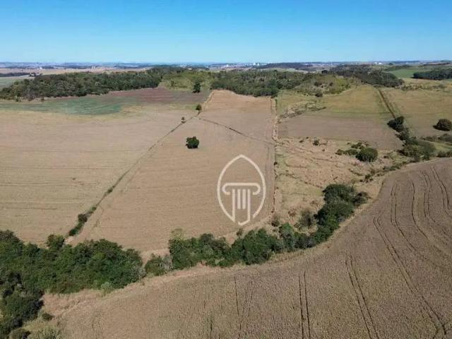 Sítio e chácara venda em Região Geográfica Imediata de Londrina, Ibiporã