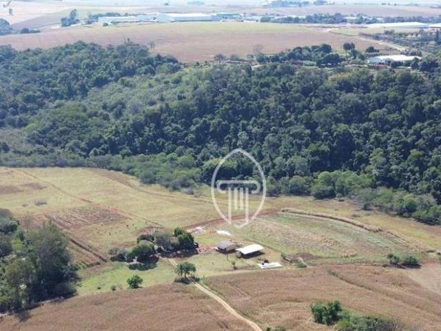 Sítio e chácara venda em Região Geográfica Imediata de Londrina, Ibiporã
