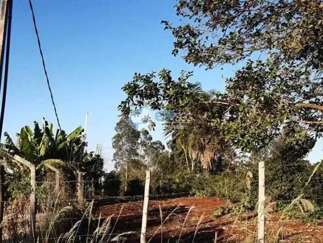 Sítio e chácara venda em Região Geográfica Imediata de Londrina, Ibiporã