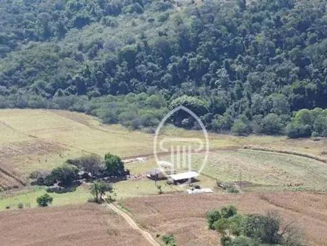 Sítio e chácara venda em Região Geográfica Imediata de Londrina, Ibiporã