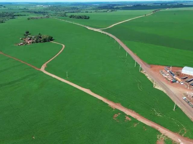 Sítio e chácara venda em Região Geográfica Imediata de Londrina, Ibiporã