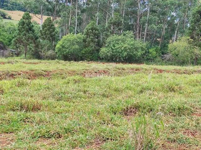 Sítio e chácara venda em Ibiporã, Região Geográfica Intermediária de Londrina