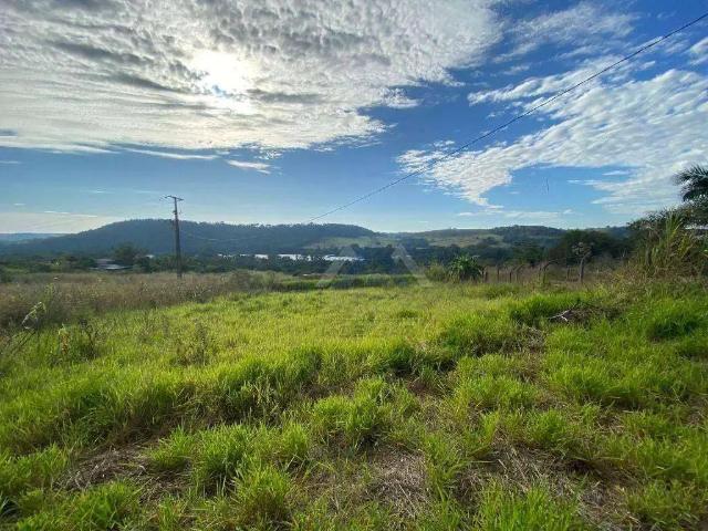 Sítio e chácara venda em Centro, Ibiporã