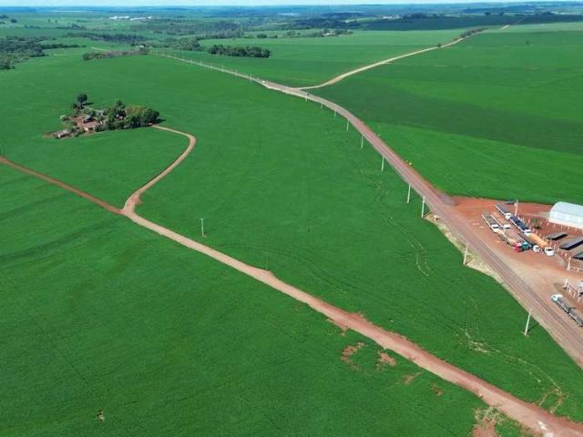 Sítio e chácara venda em Região Geográfica Imediata de Londrina, Ibiporã
