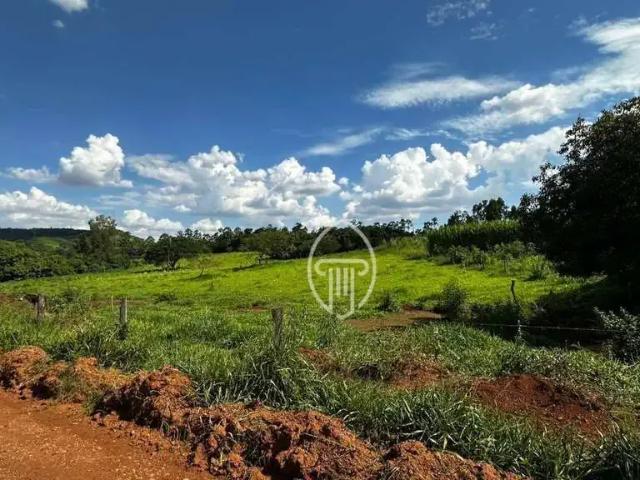 Sítio e chácara venda em Região Geográfica Imediata de Londrina, Ibiporã