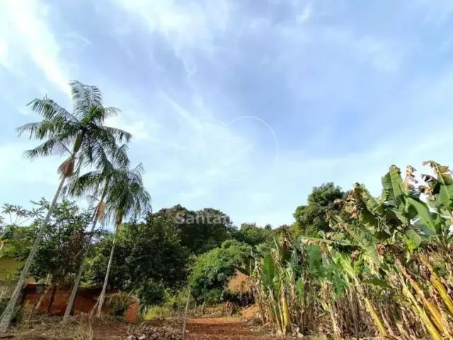 Sítio e chácara venda em Marajoara, Ibiporã