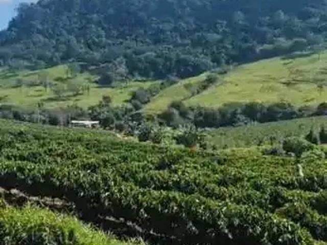 Sítio e chácara venda em Região Geográfica Imediata de Passos, Ibiraci