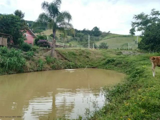 Sítio e chácara venda em Região Geográfica Imediata de Ibirama-Presidente Getúlio, Ibirama
