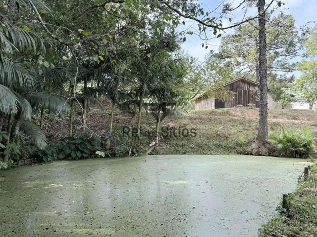 Sítio e chácara venda em Região Geográfica Imediata de Ibirama-Presidente Getúlio, Ibirama