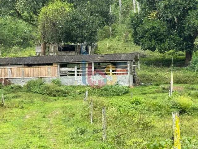 Sítio e chácara venda em Ibirataia, Região Nordeste