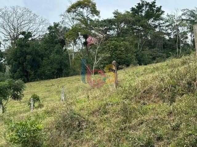 Sítio e chácara venda em Região Geográfica Imediata de Estância, Cristinapolis