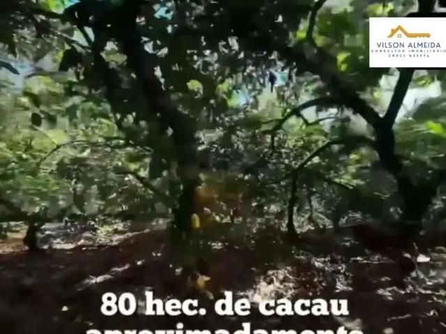 Sítio e chácara venda em Ibirataia, Região Nordeste