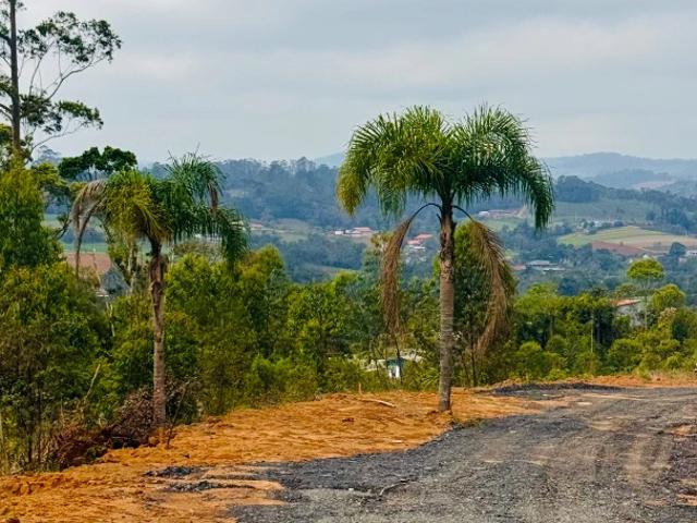 Sítio e chácara venda em Ibiúna