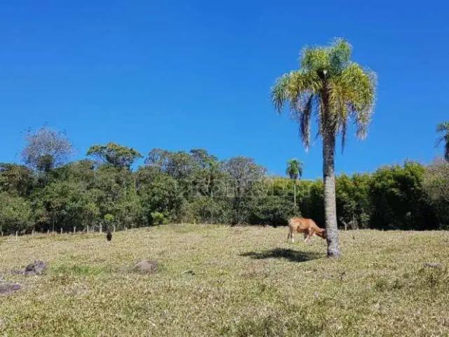 Sítio e chácara venda em Região Imediata de Sorocaba, Região Metropolitana de Sorocaba
