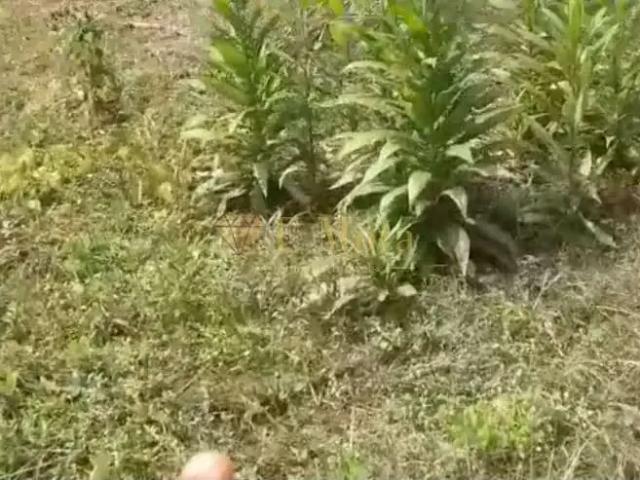 Sítio e chácara venda em Região Imediata de Sorocaba, Região Metropolitana de Sorocaba