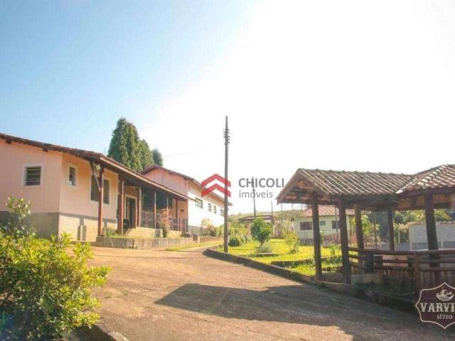 Sítio e chácara venda em Sorocabuçu, Ibiuna