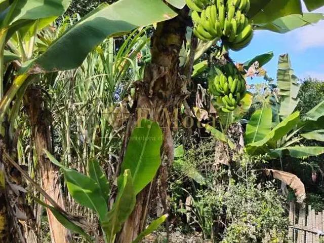 Sítio e chácara venda em Região Imediata de Sorocaba, Região Metropolitana de Sorocaba