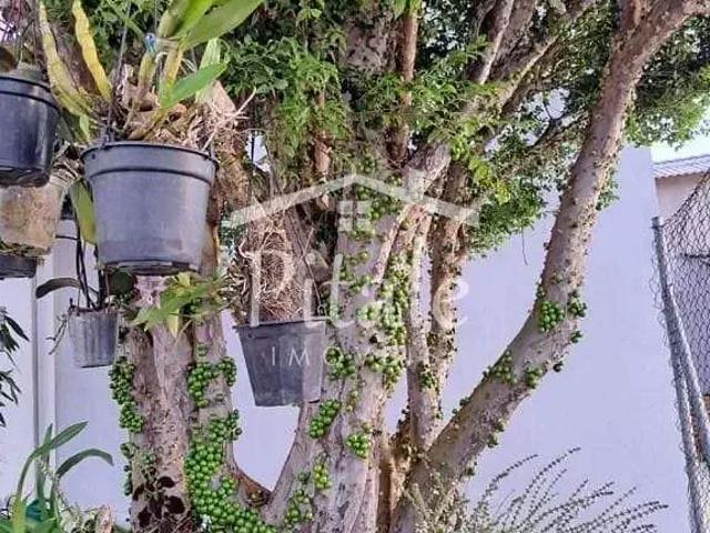 Sítio e chácara venda em Região Imediata de Sorocaba, Região Metropolitana de Sorocaba
