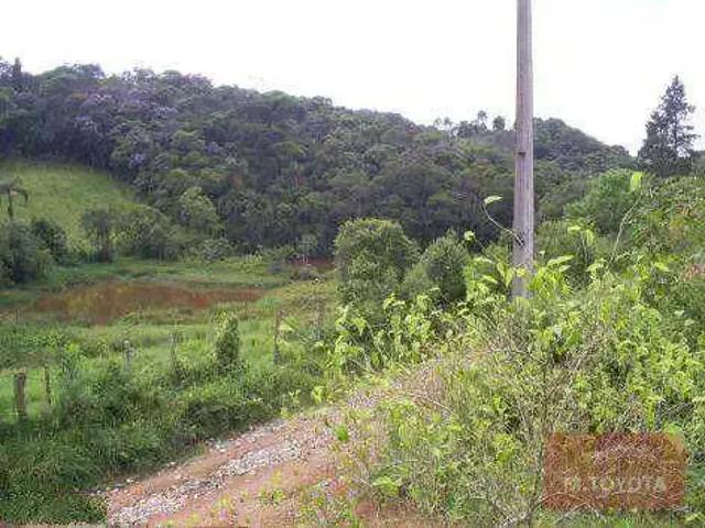 Sítio e chácara venda em Região Imediata de Sorocaba, Região Metropolitana de Sorocaba