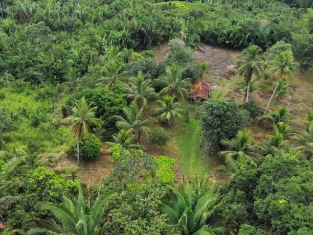 Sítio e chácara venda em Região Geográfica Imediata de São Luís, Icatu