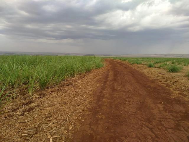 Sítio e chácara venda em Igarapava
