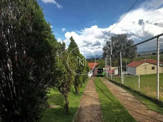 Sítio e chácara venda em Região Geográfica Imediata de Belo Horizonte, Região Metropolitana de Belo Horizonte