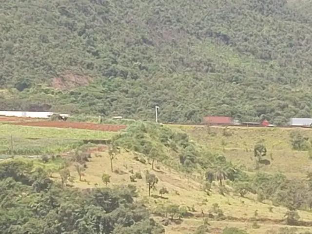 Sitio venda em Igarapé Sitio venda em Igarapé