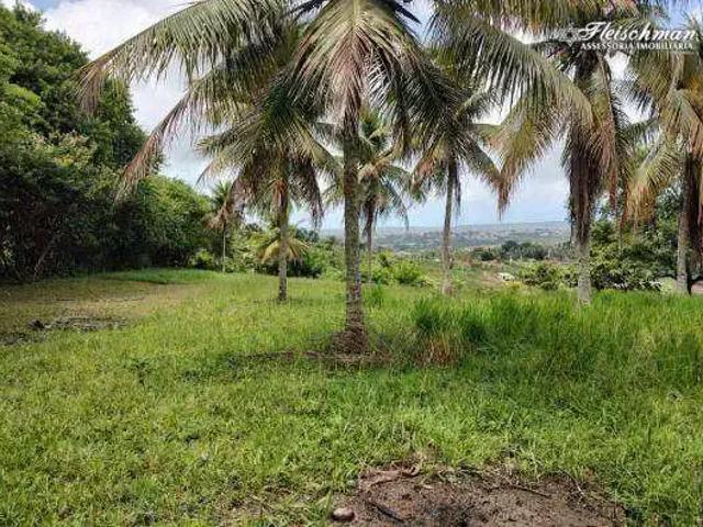 Sítio e chácara venda em Região Geográfica Imediata do Recife, Região Metropolitana do Recife