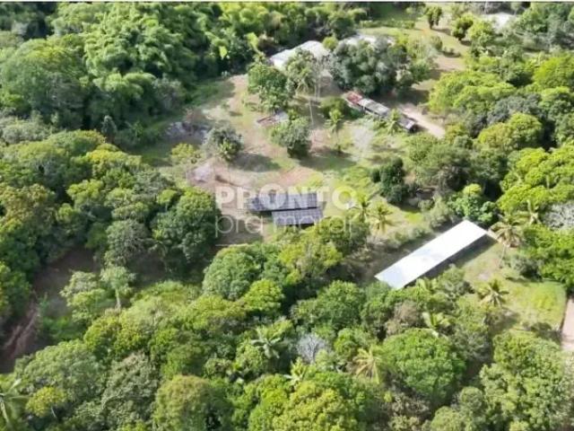 Sítio e chácara venda em Região Geográfica Imediata do Recife, Região Metropolitana do Recife
