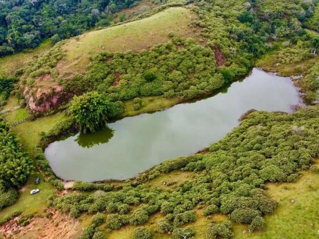 Sítio e chácara venda em Região Imediata de São José dos Campos, Região Metropolitana do Vale do Paraíba e Litoral Norte