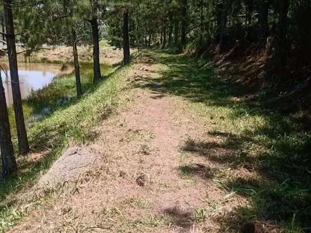Sítio e chácara venda em Região Imediata de São José dos Campos, Região Metropolitana do Vale do Paraíba e Litoral Norte