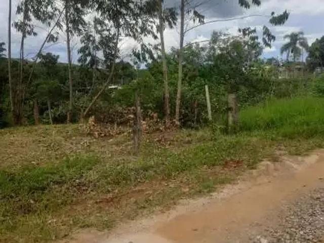 Sítio e chácara venda em Região Imediata de São José dos Campos, Região Metropolitana do Vale do Paraíba e Litoral Norte